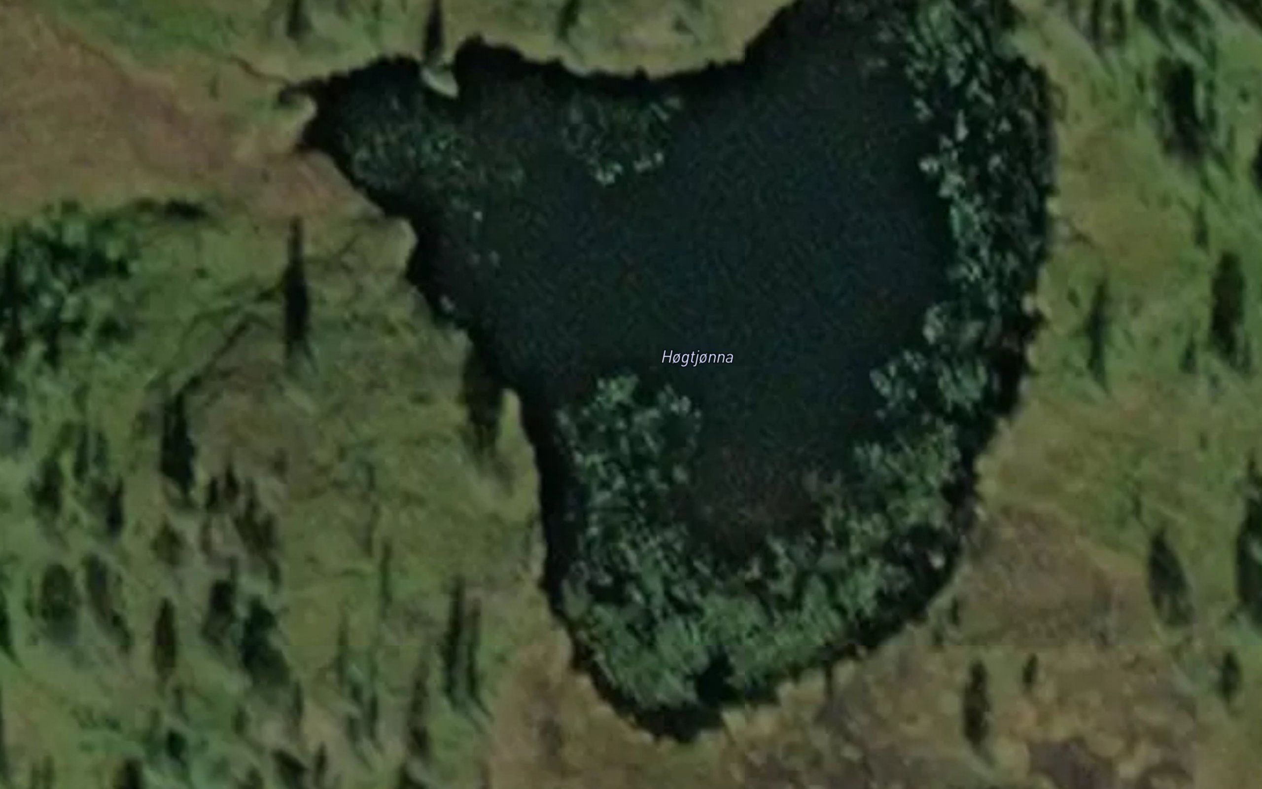 Hogtjonna