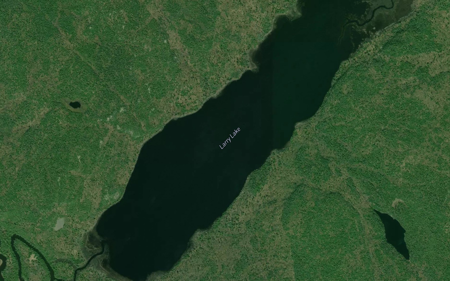 Satellite map of the Larry Lake