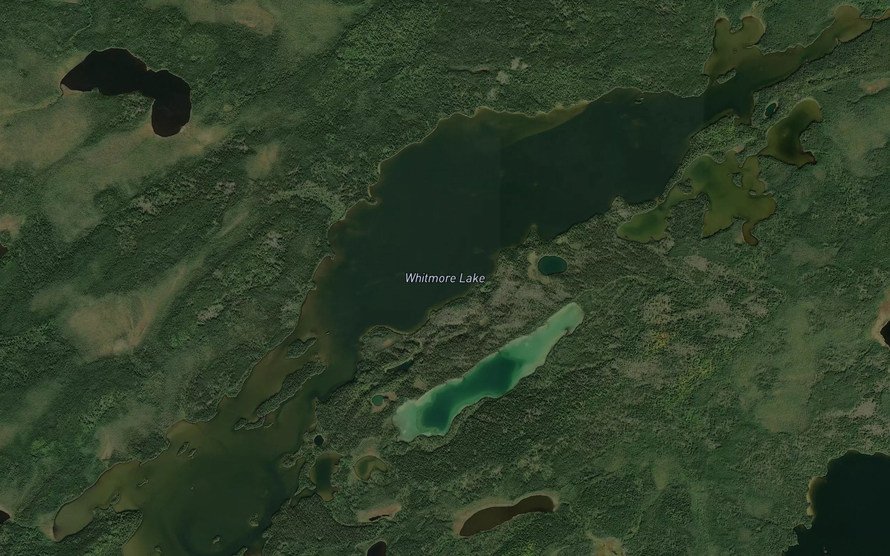 Satellite map of the Whitmore Lake