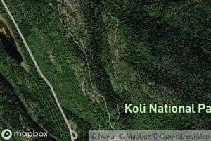 Kolinuuro