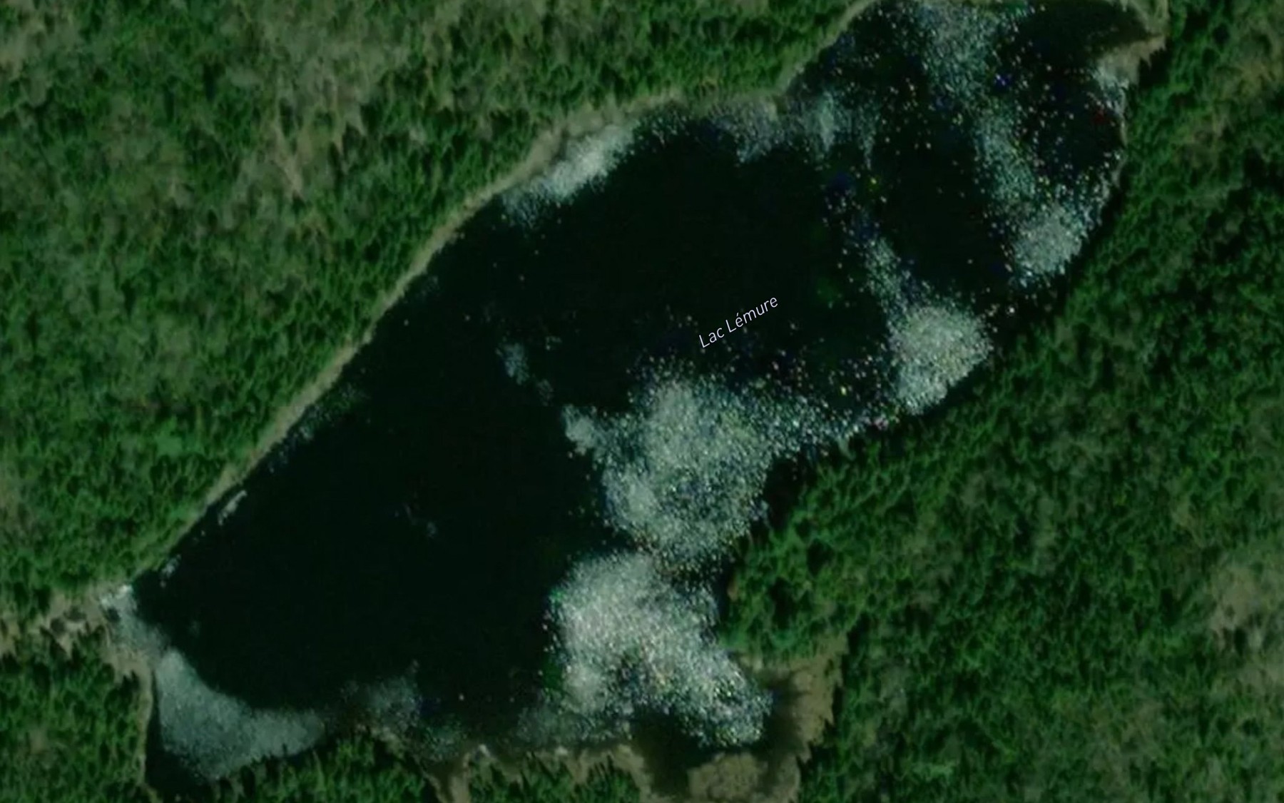 Satellite map of the Lac Lemure