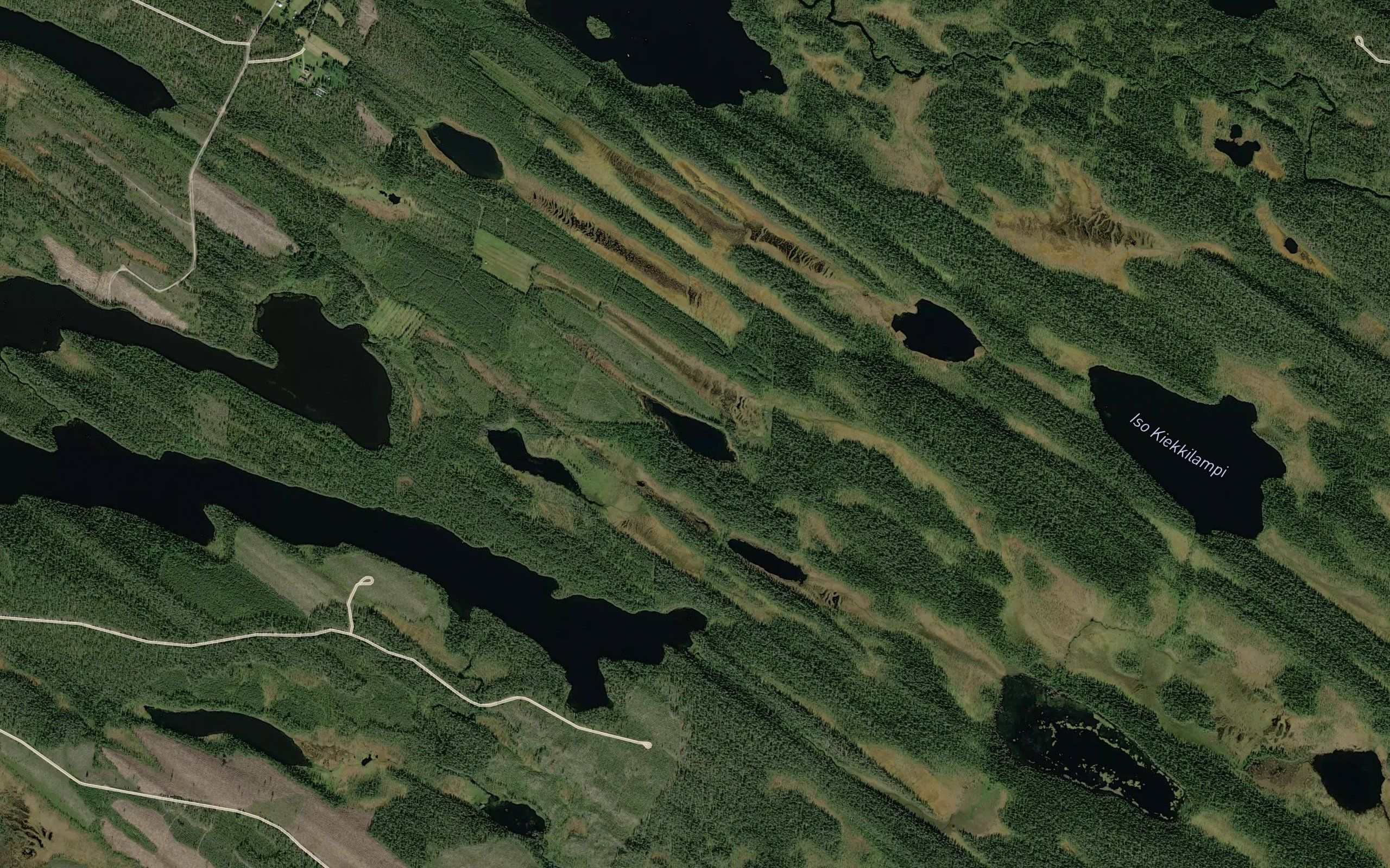 Hoikkalampi