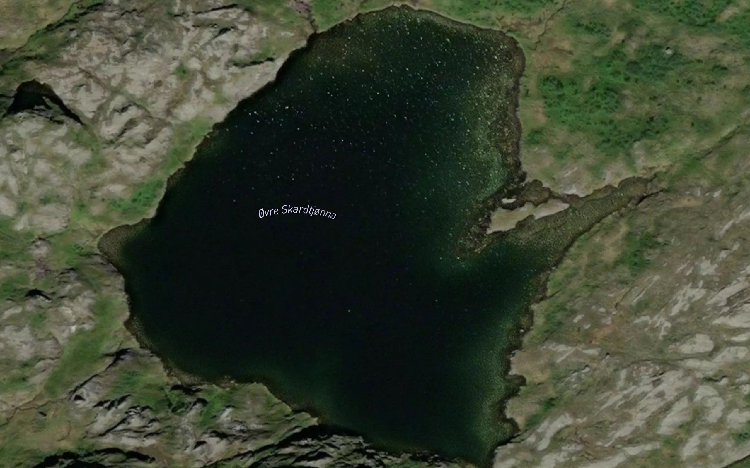 Skardtjonnin