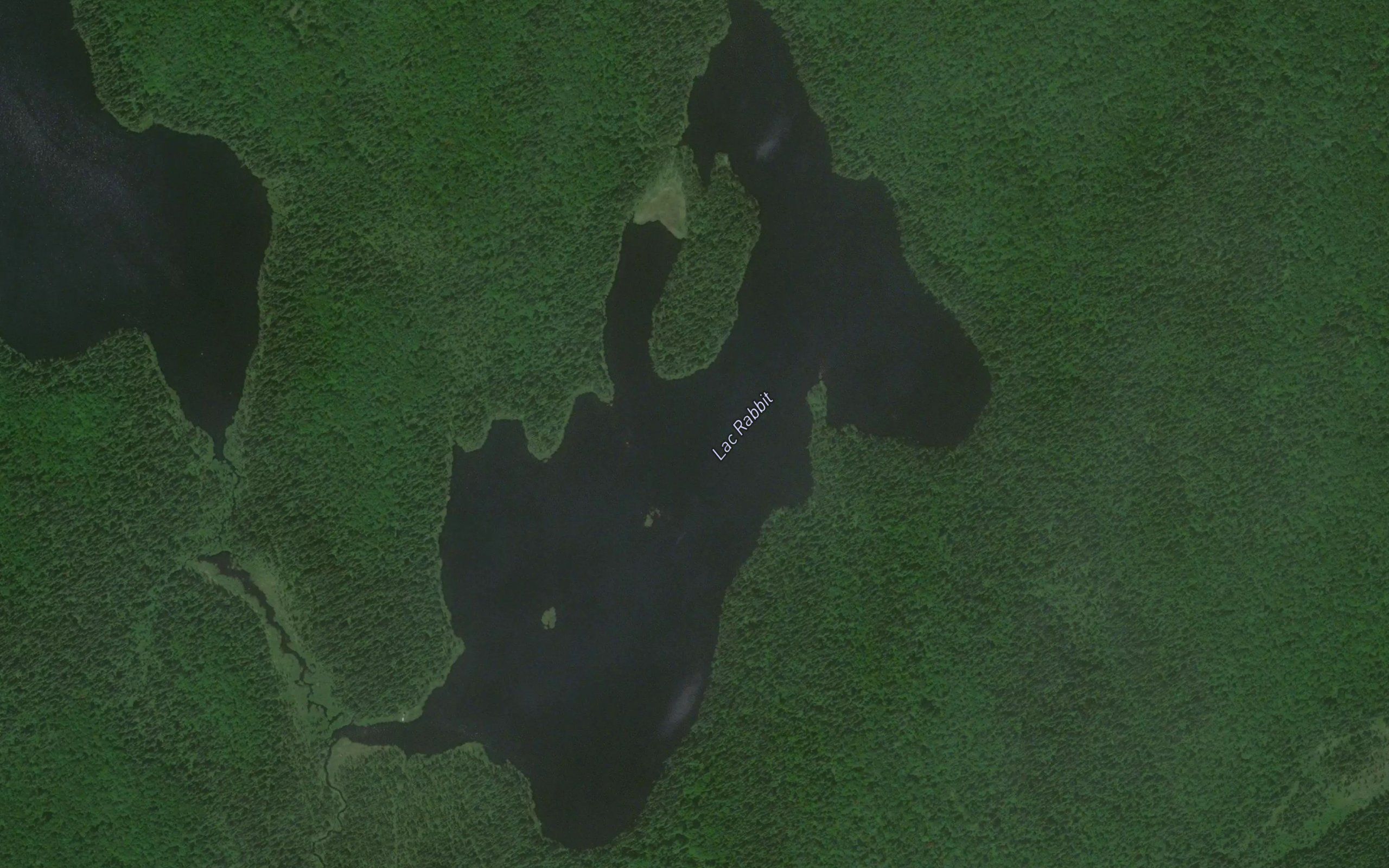 Lac Rabbit