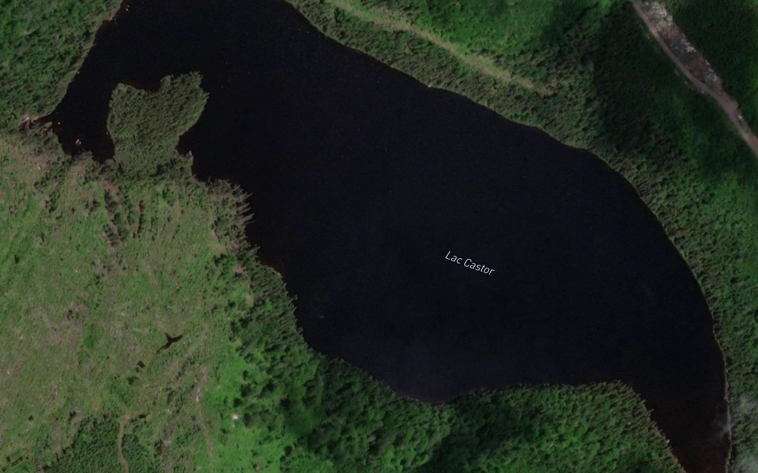 Lac Bedard