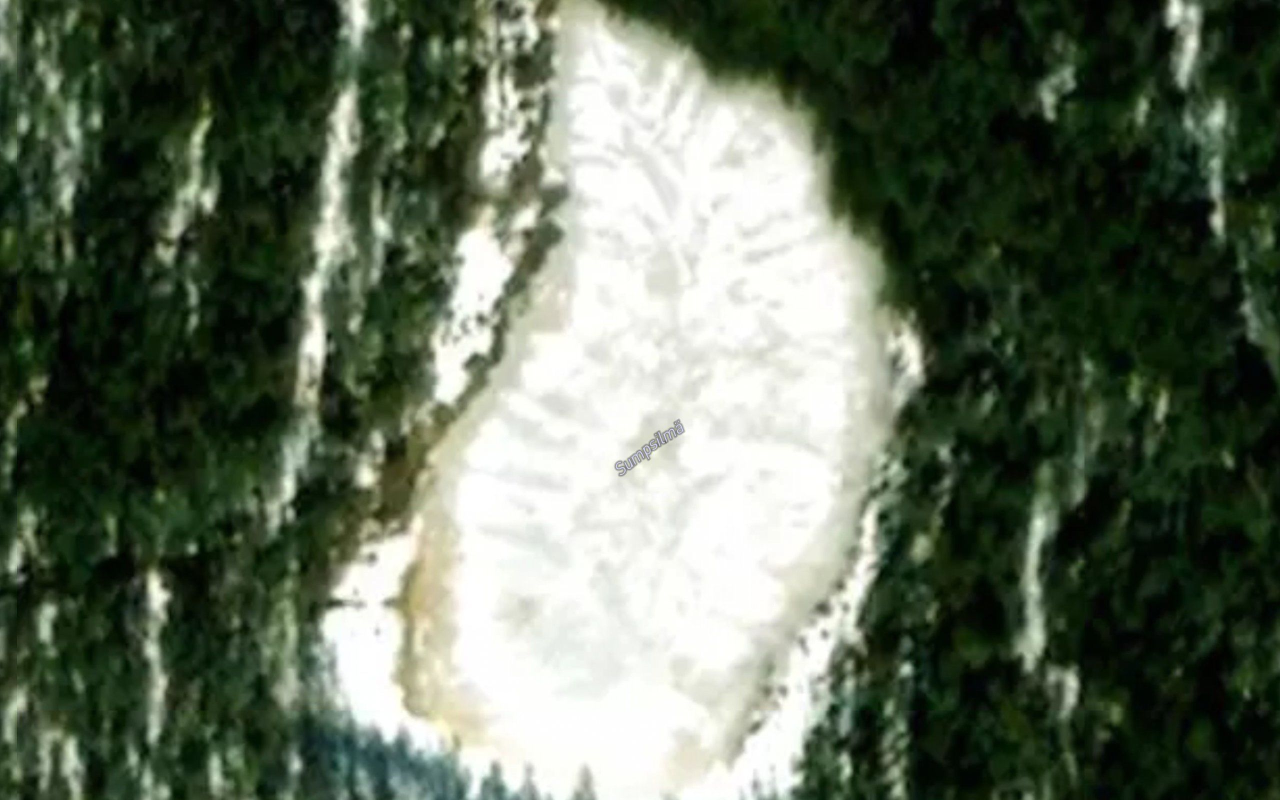 Sumpsilma