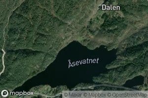 Asavatnet