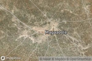 Mesaaroole