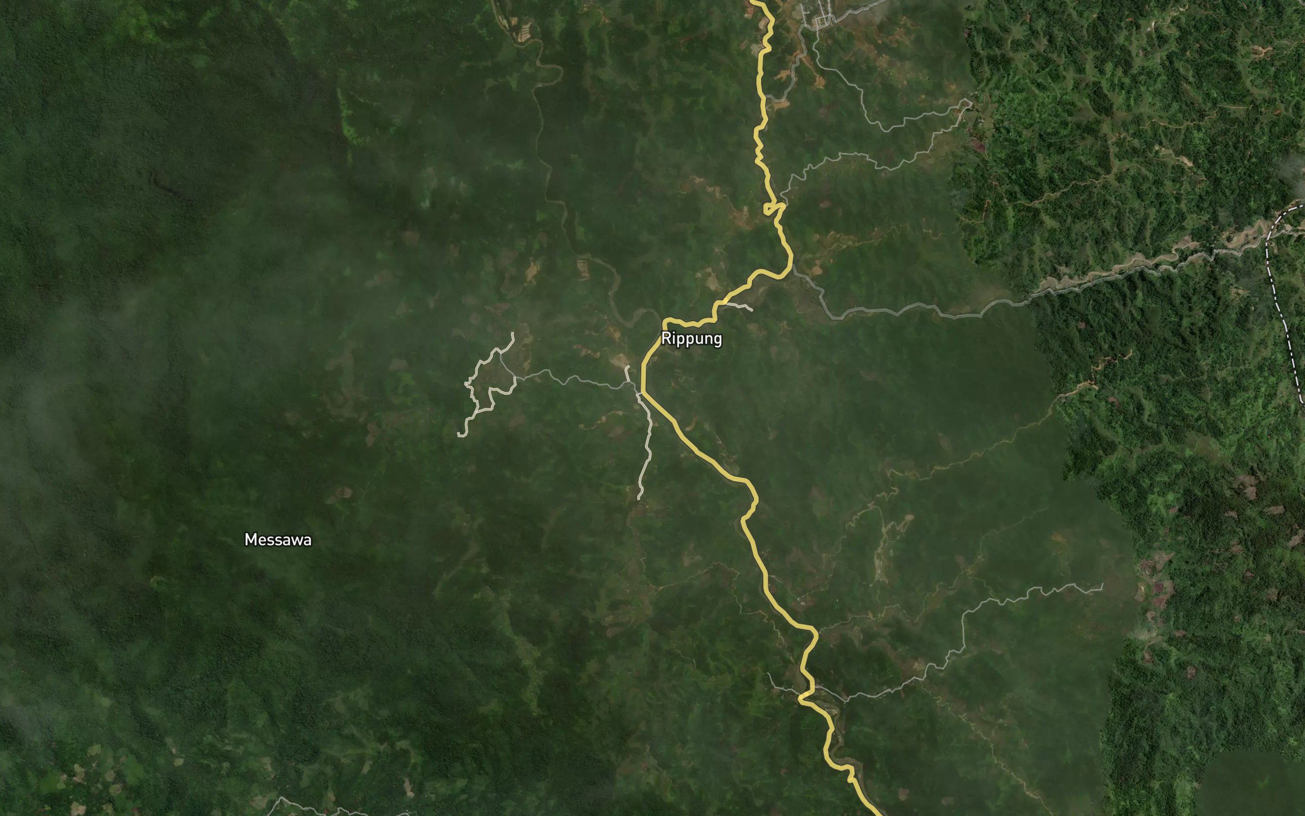 Salu Tana