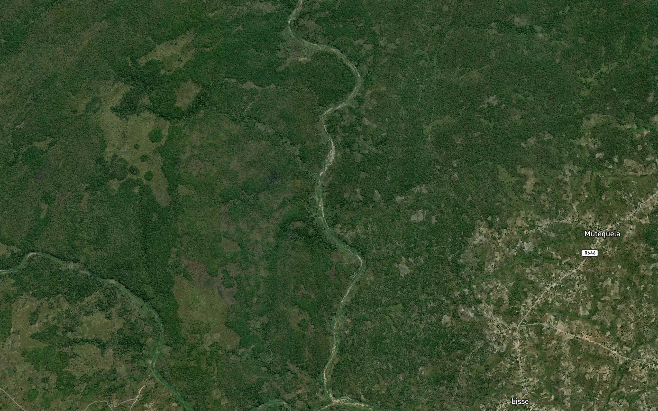 Maxauele