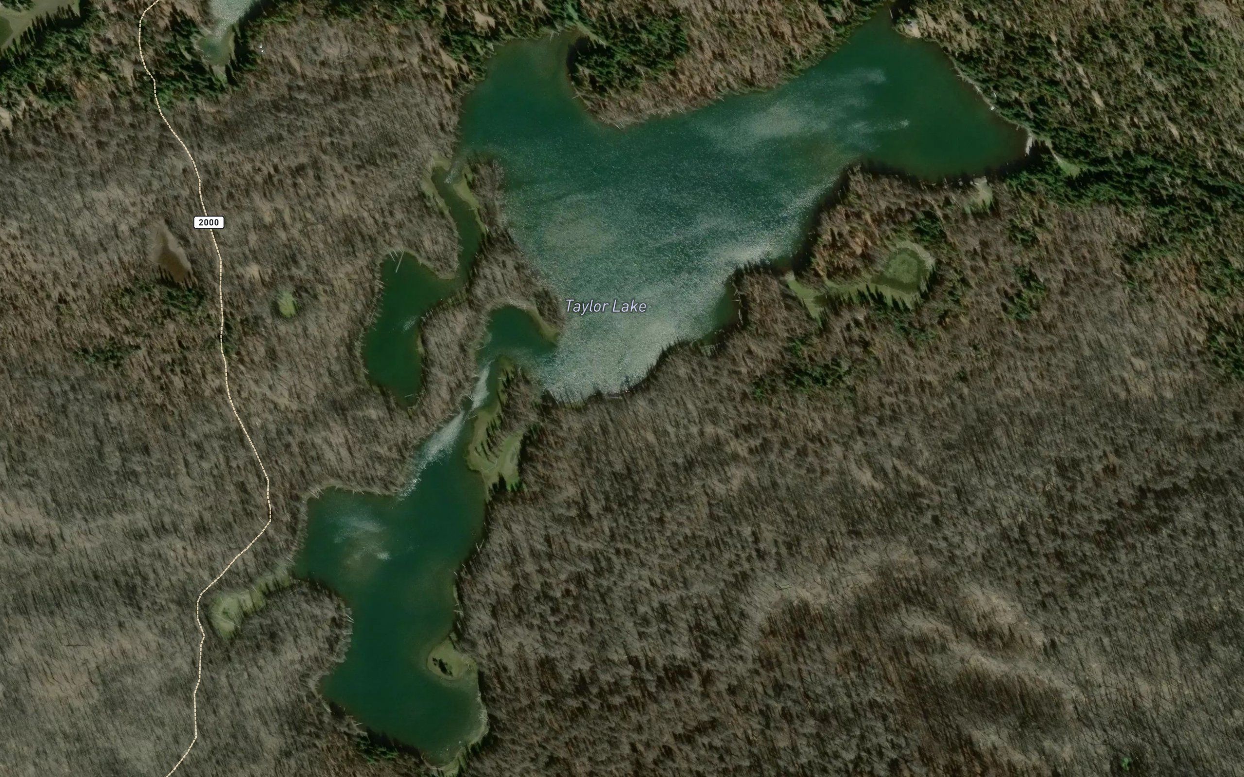 Taylor Lake