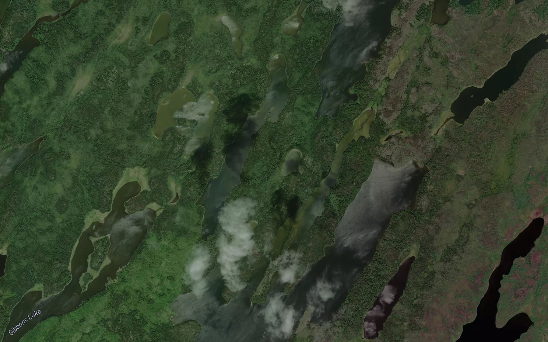 Satellite map of the Onisabaweigan Lake