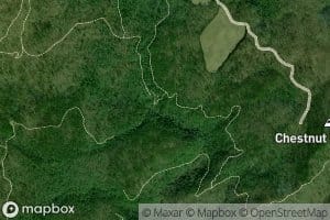 Franklin Spring Branch