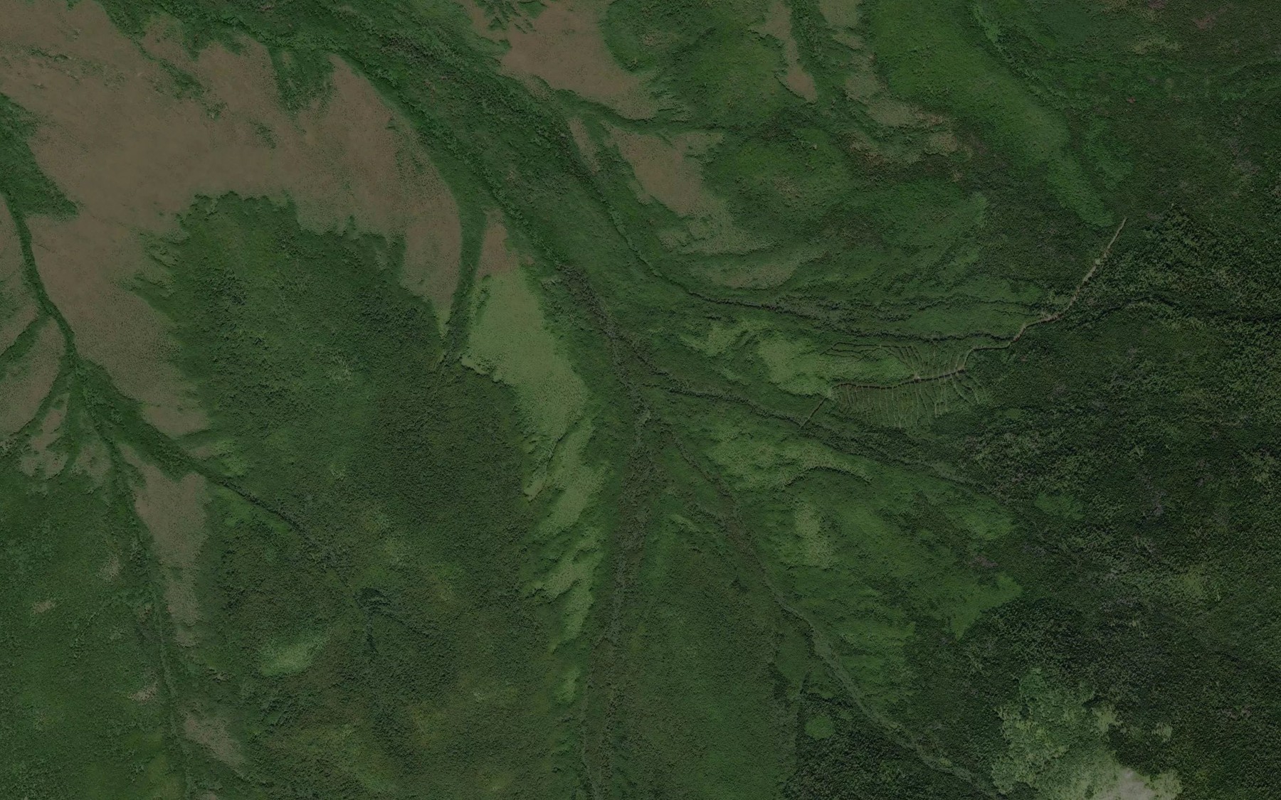 Satellite map of the Gruntovyy