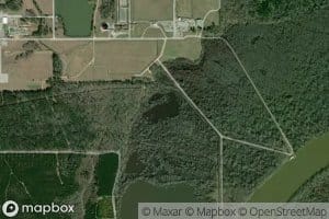 Ciba Geigy McIntosh Plant Pond 2