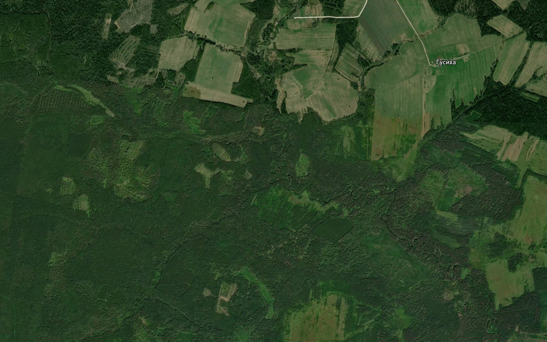 Satellite map of the Ploskaya