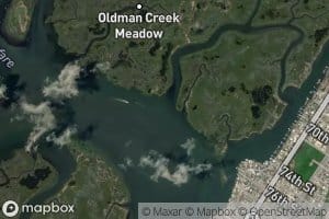 Oldman Creek