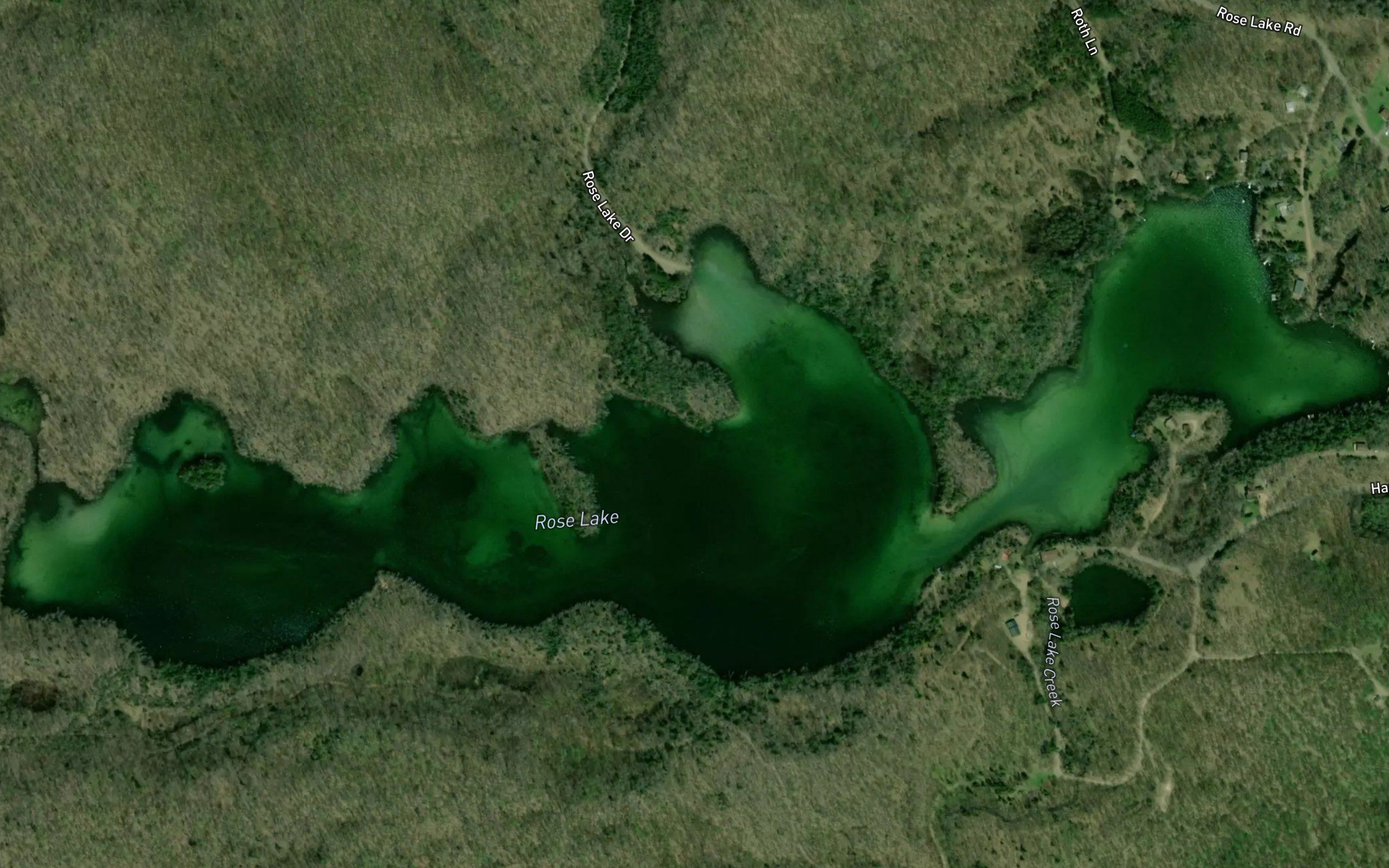 Rose Lake