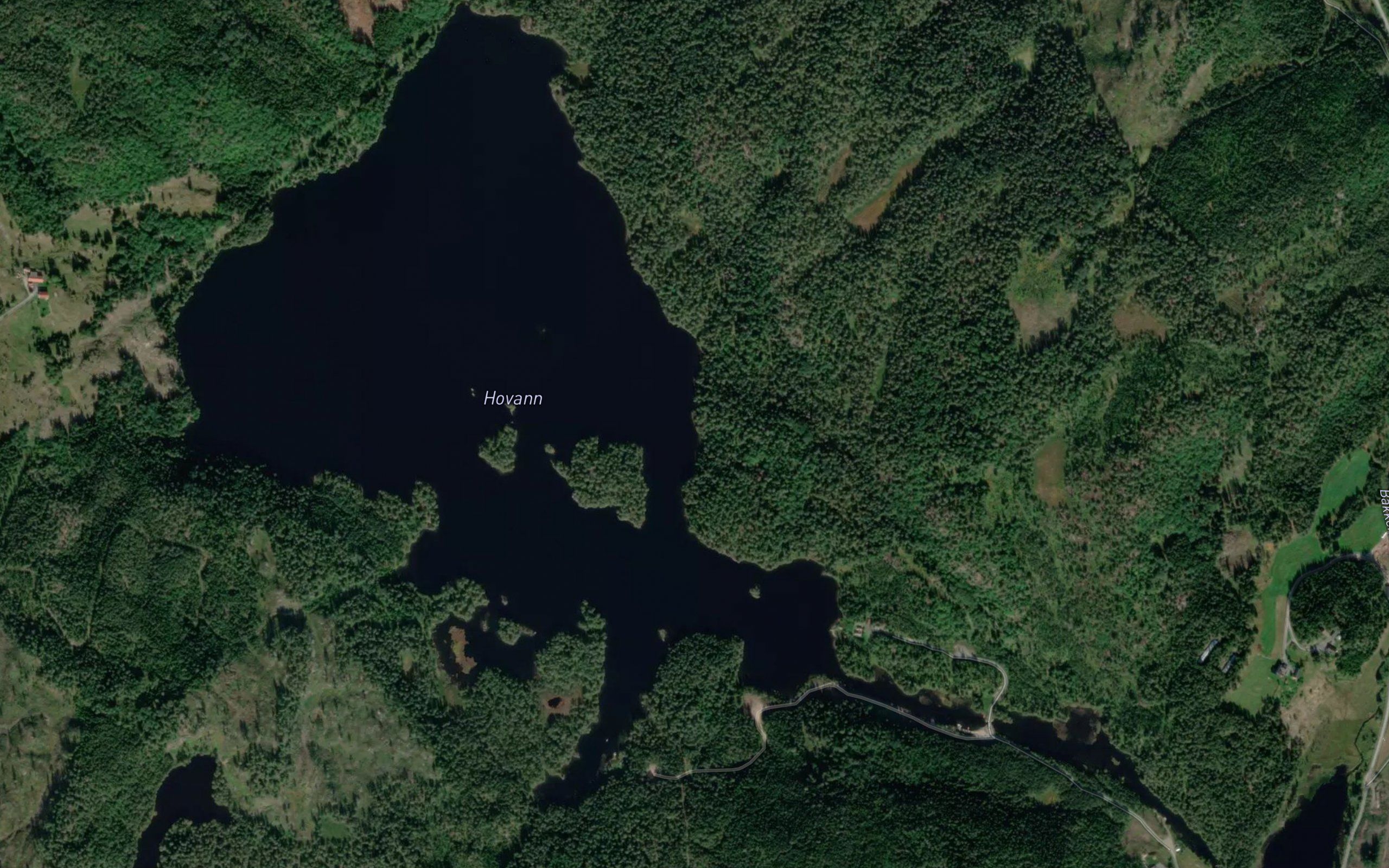 Hovann