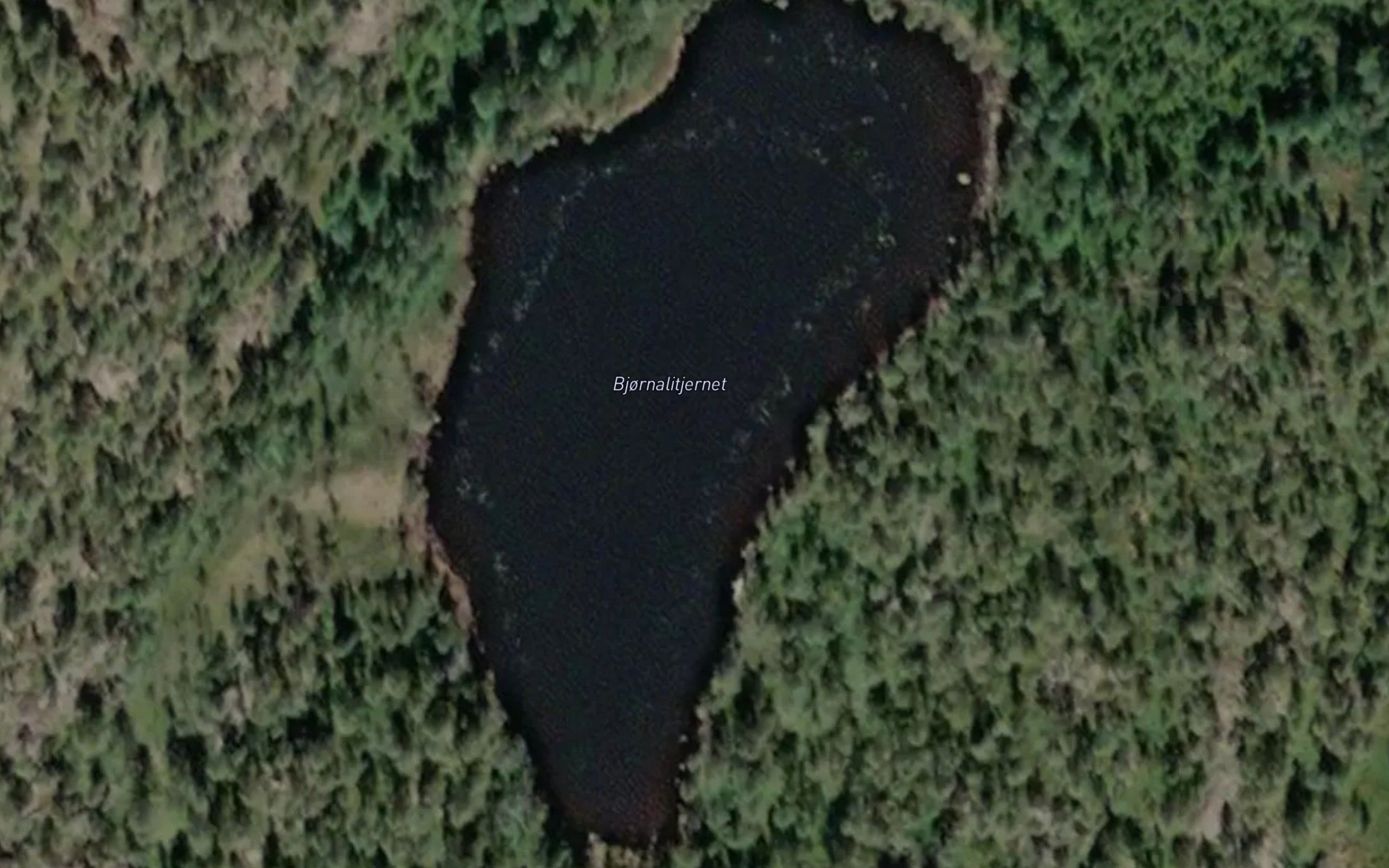 Bjornalitjernet