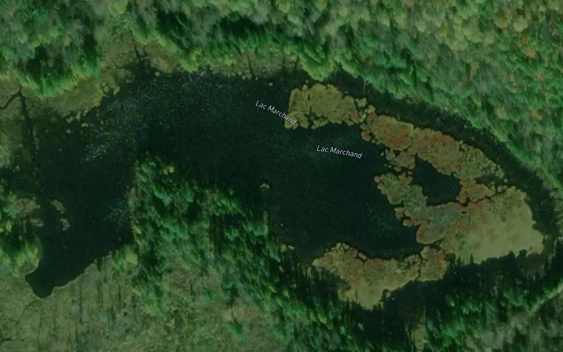 Satellite map of the Lac Marchand