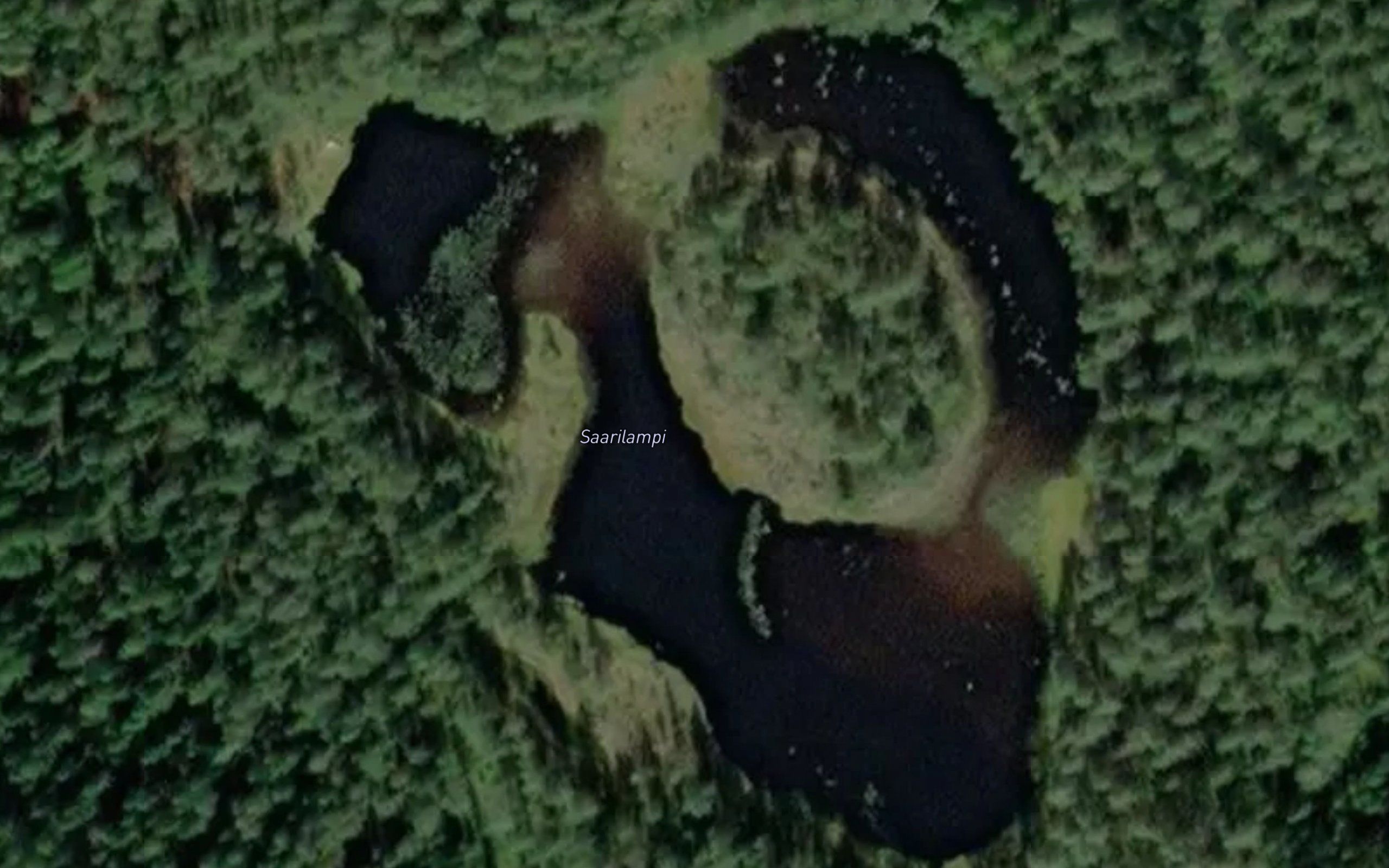 Saarilampi