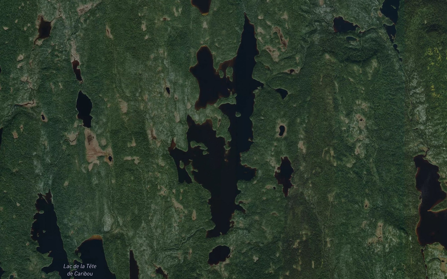 Satellite map of the Lac Loubias