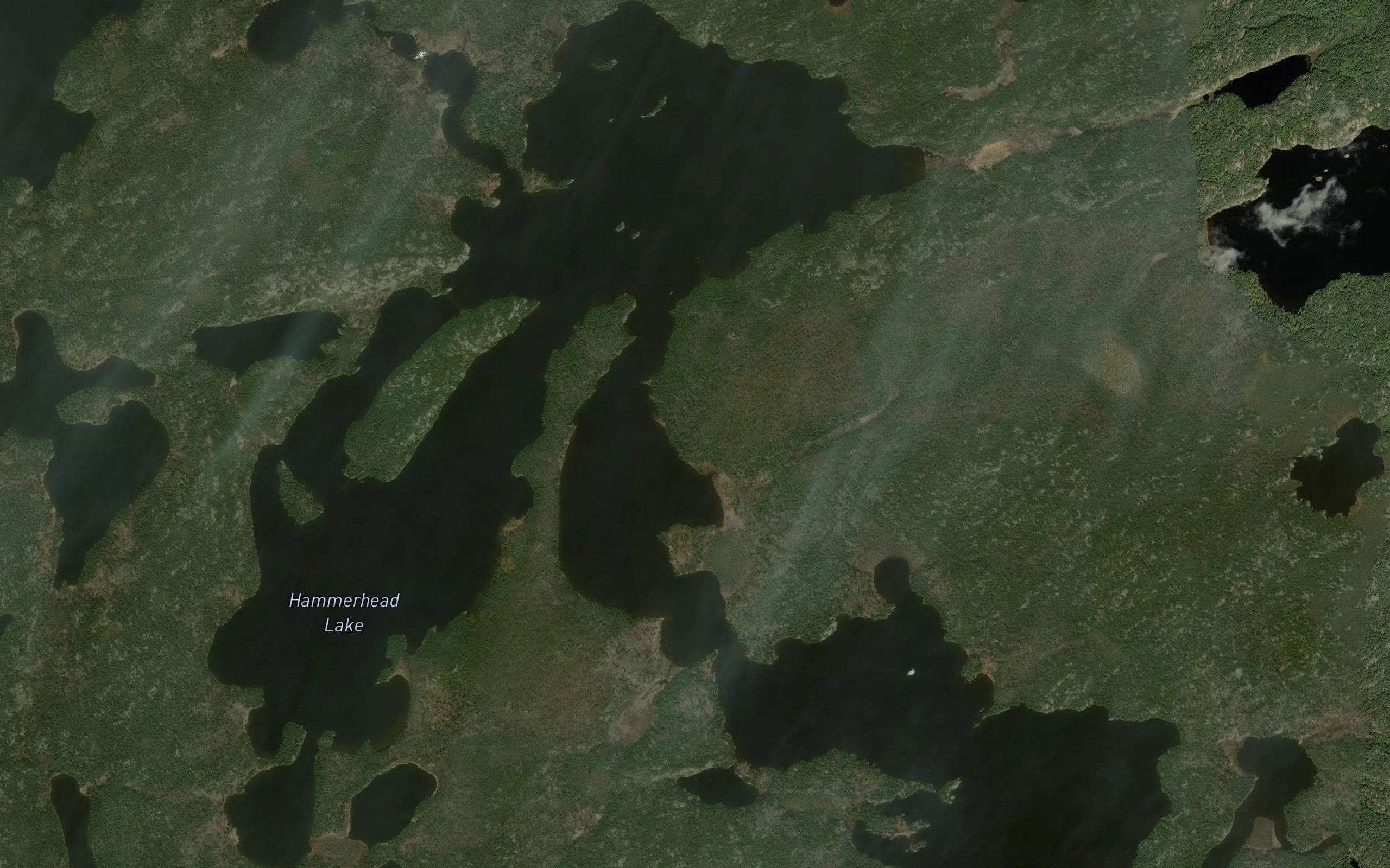 Hammerhead Lake