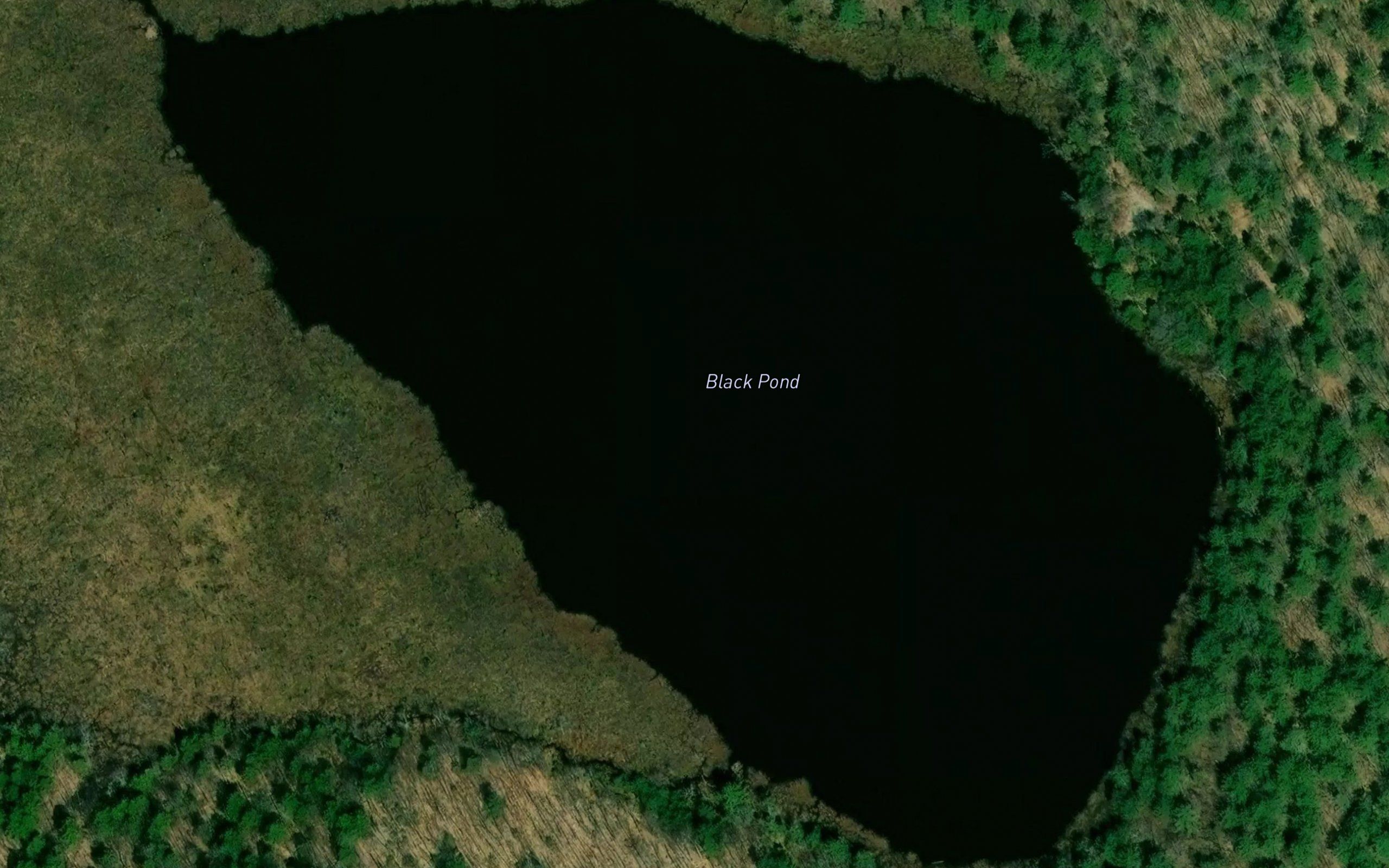 Black Pond