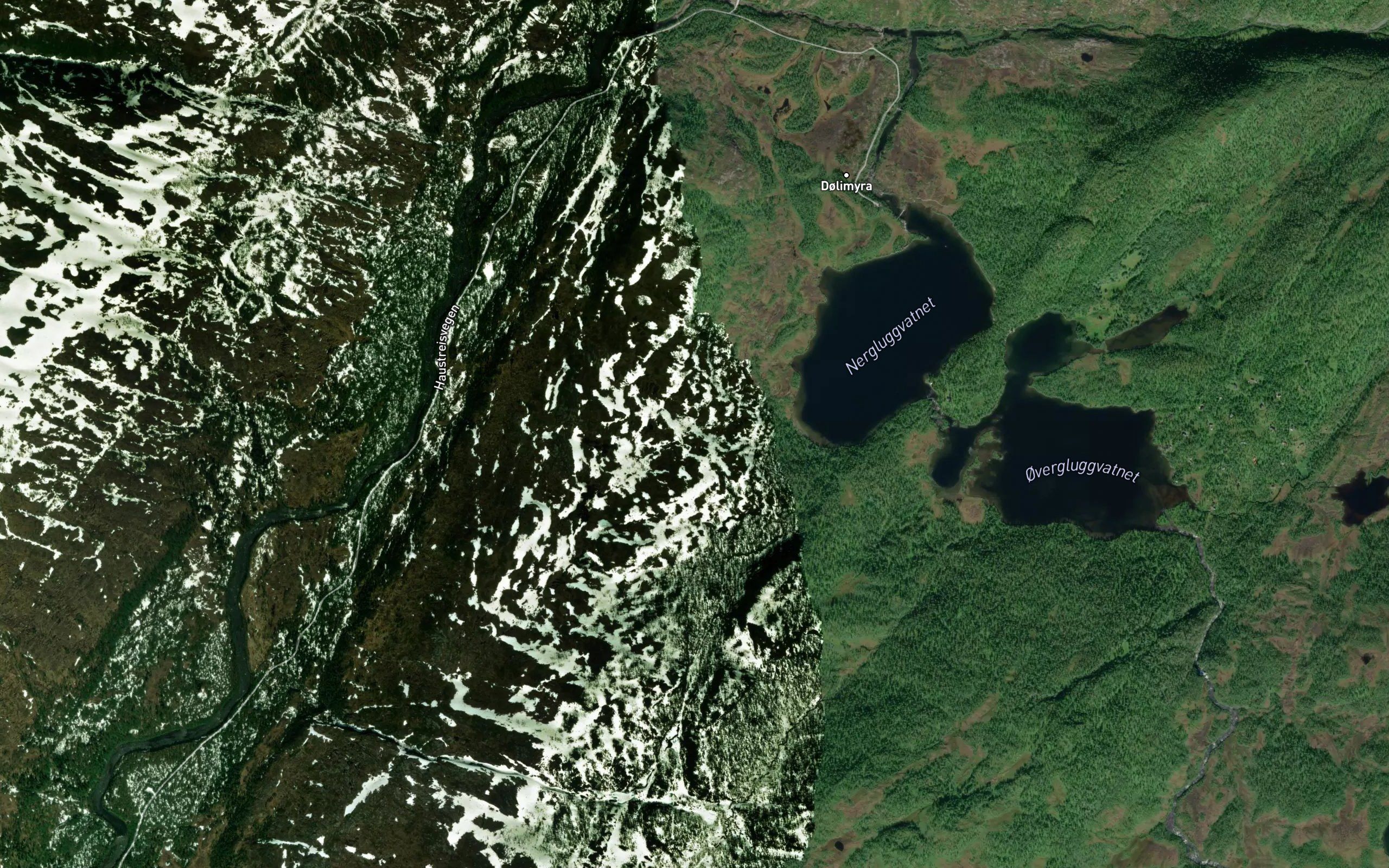 Taumbekken