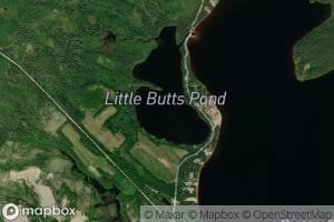 Little Butts Pond