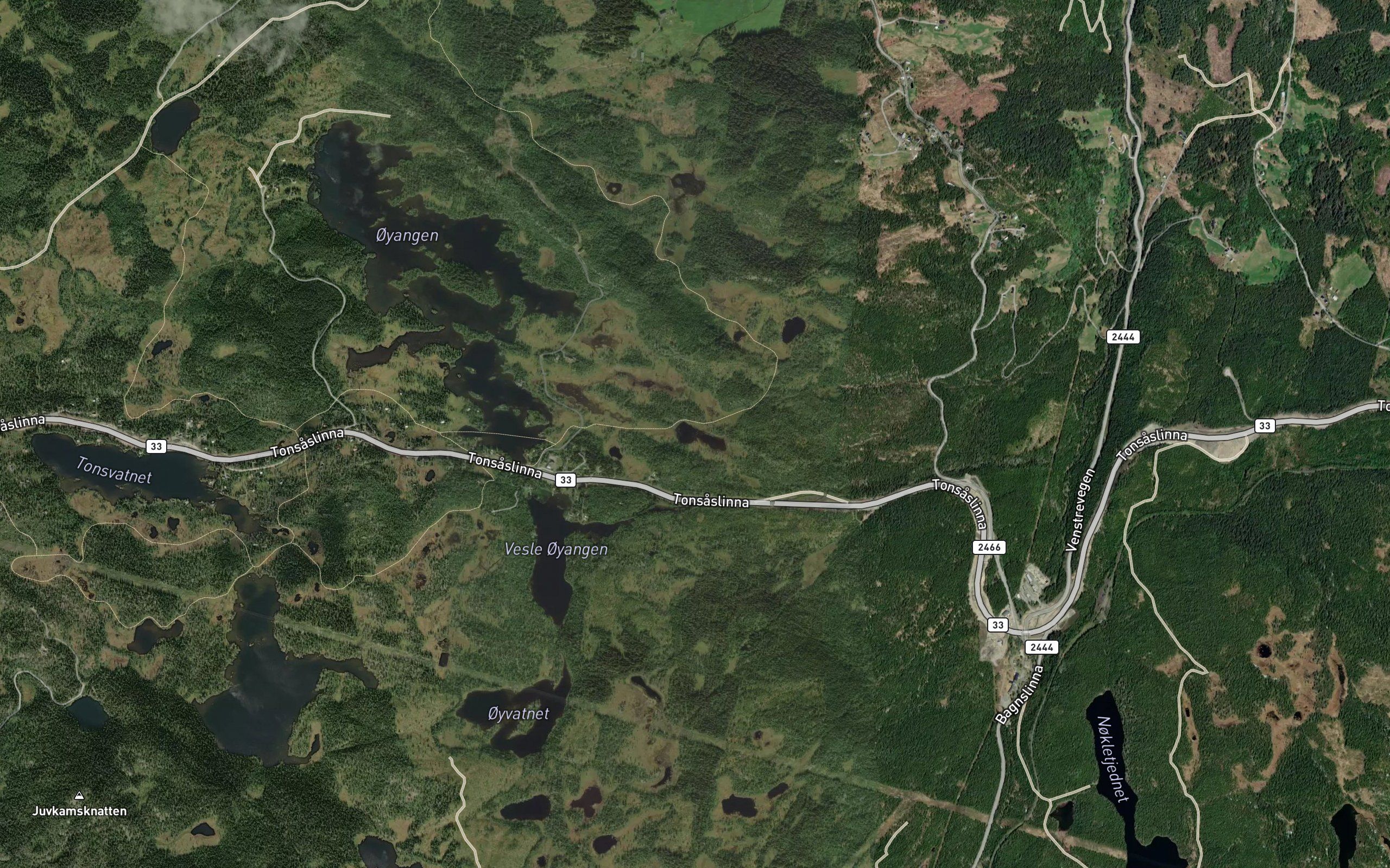 Elgstjernet
