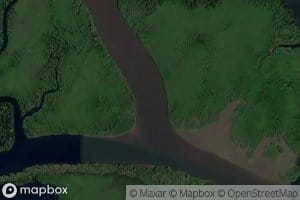 Estero Negro