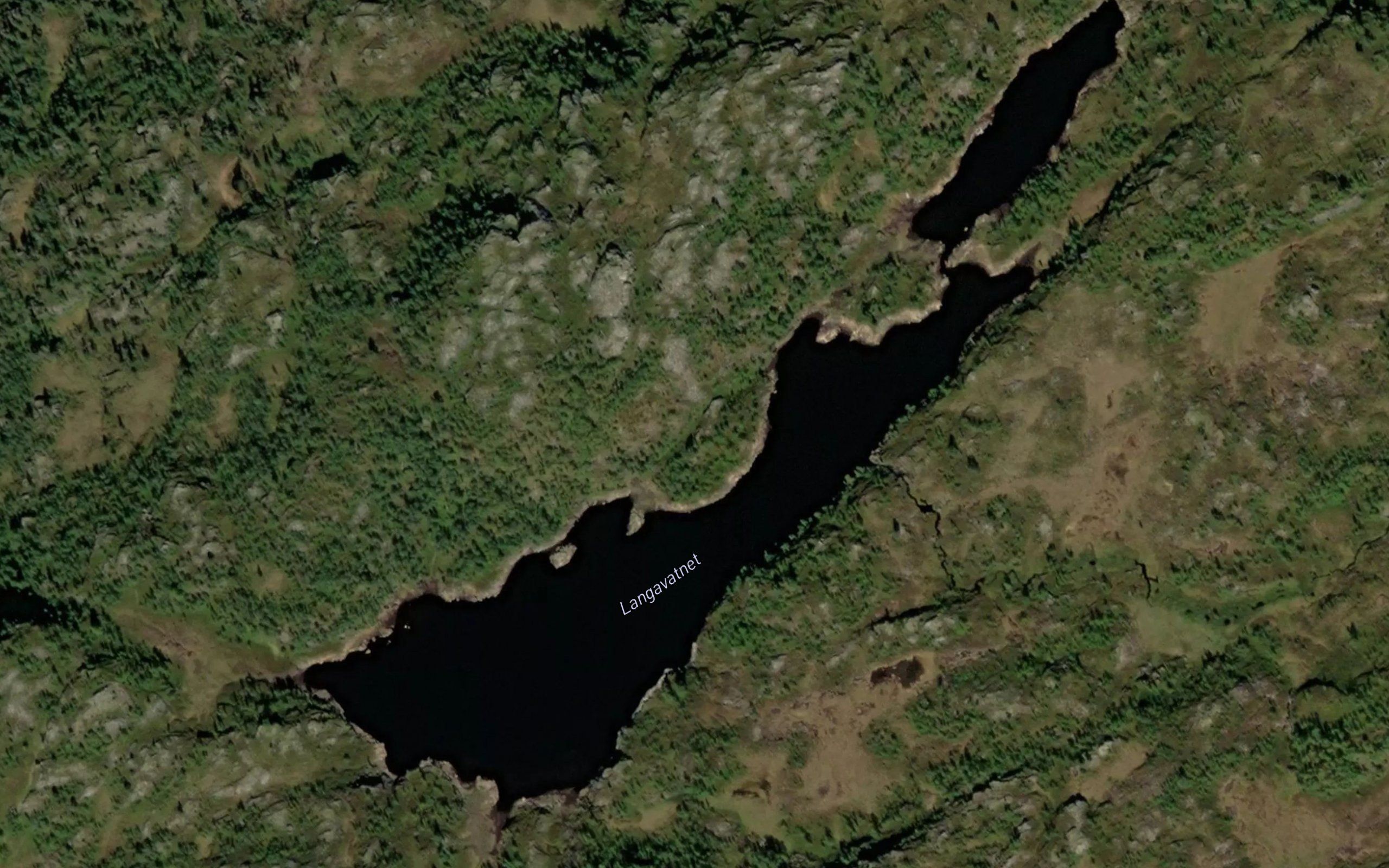Langavatnet