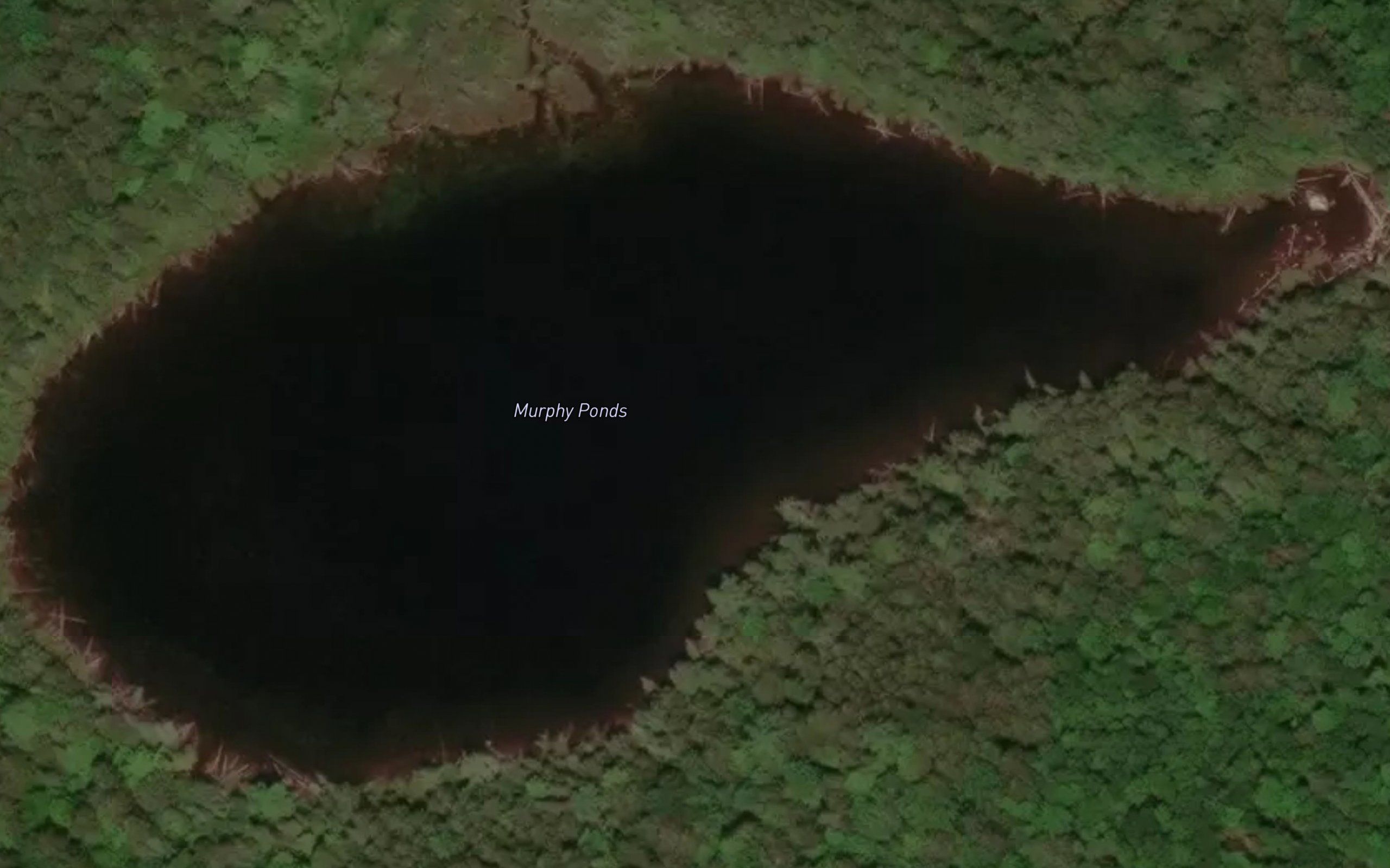 Murphy Ponds