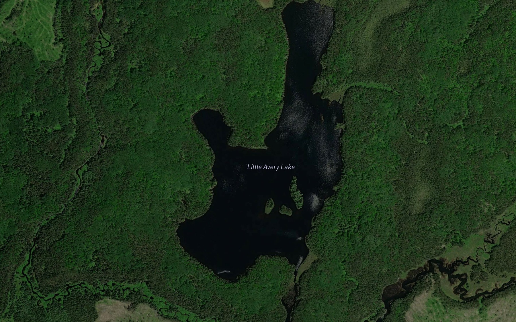 Satellite map of the Little Avery Lake