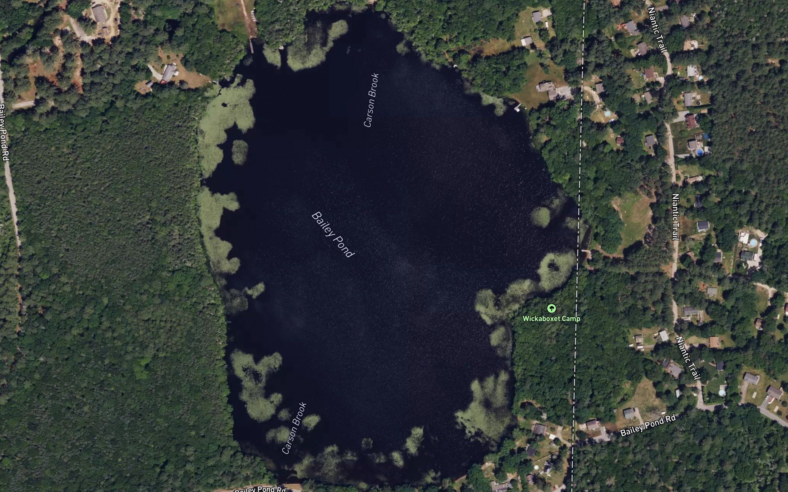 Bailey Pond