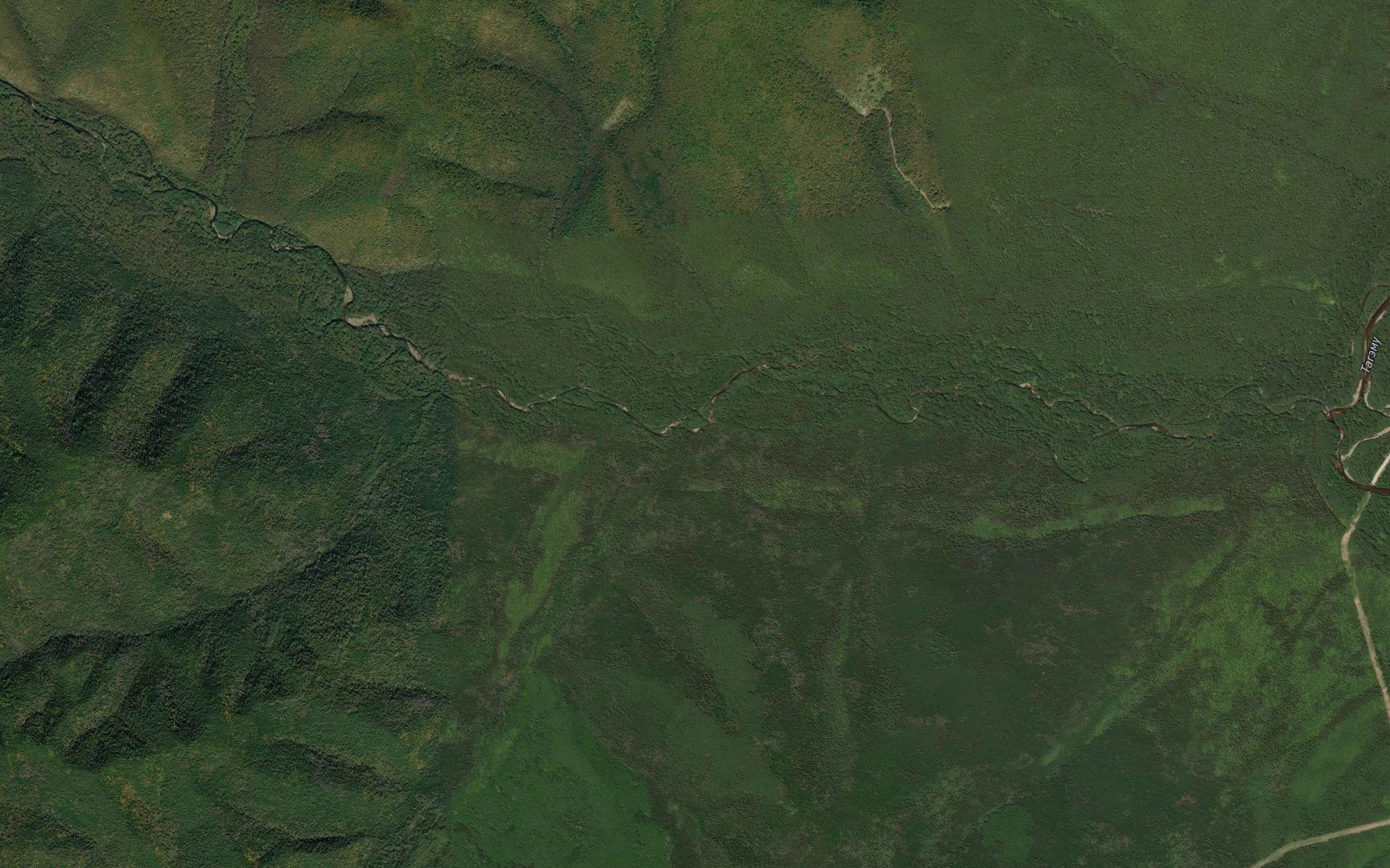 Druzhnyy