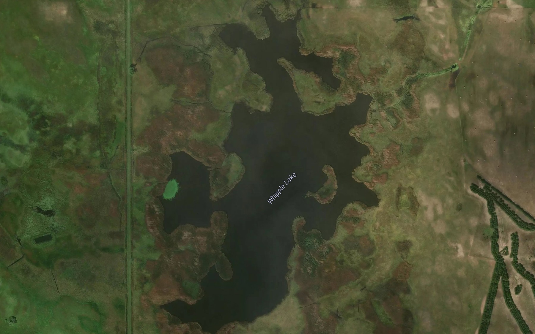 Satellite map of the Whipple Lake