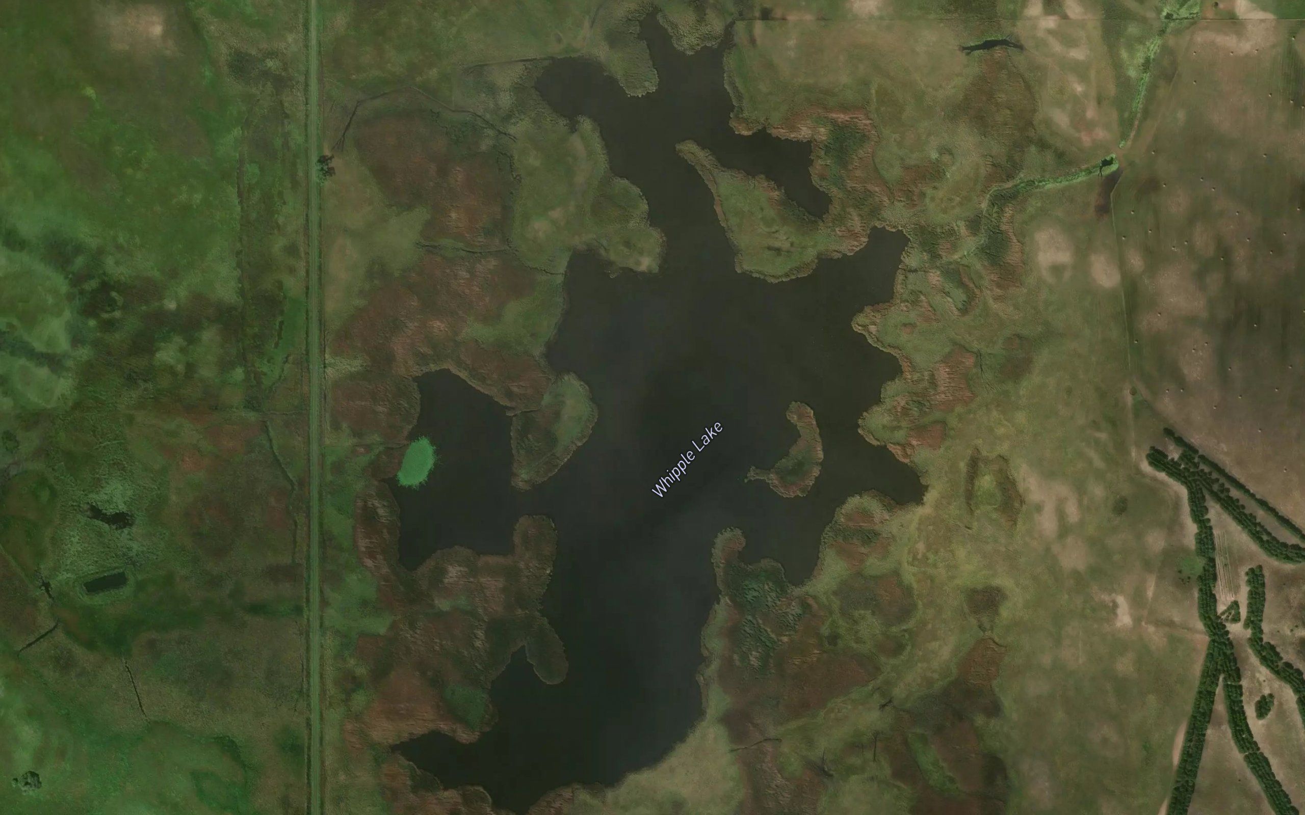 Whipple Lake