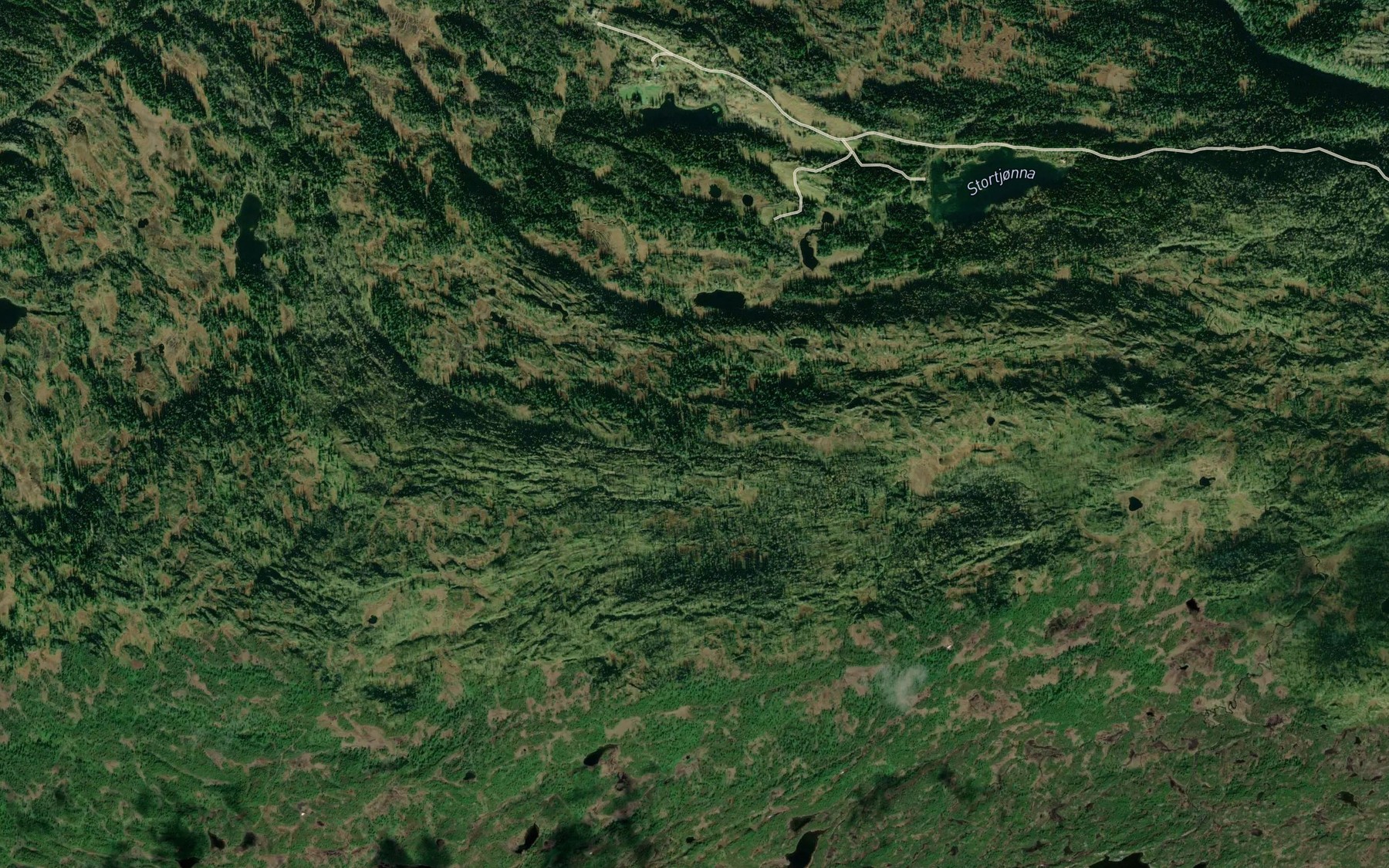 Satellite map of the Loppbekken
