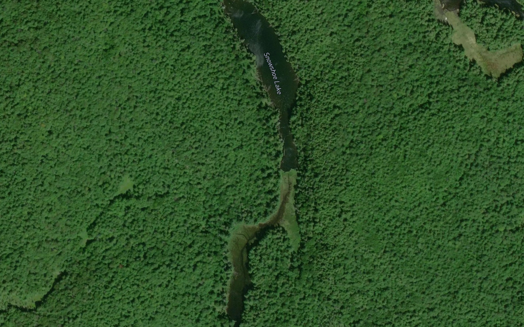 Satellite map of the Snowshoe Lake