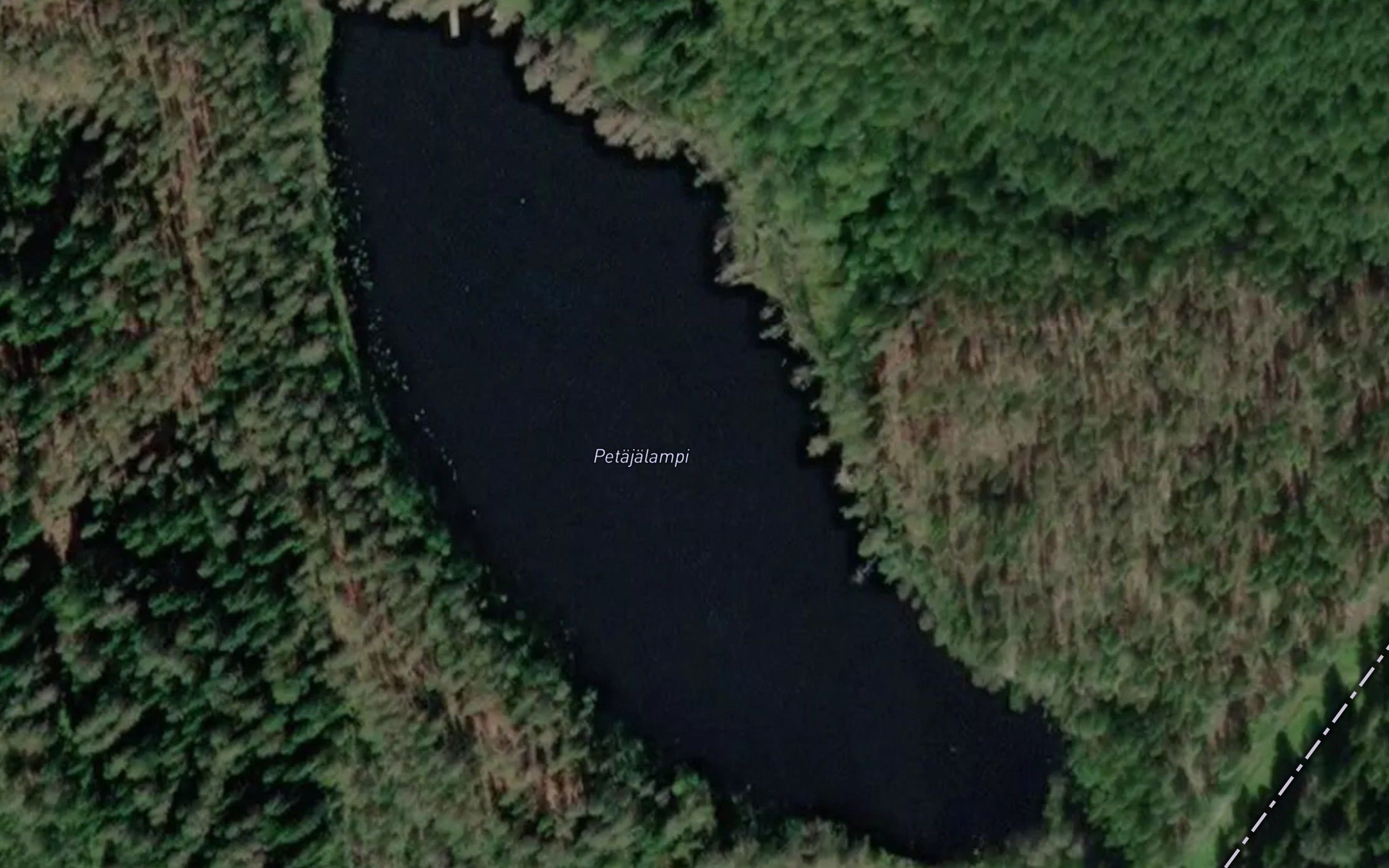 Petajalampi
