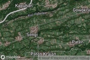 Kali Tlising