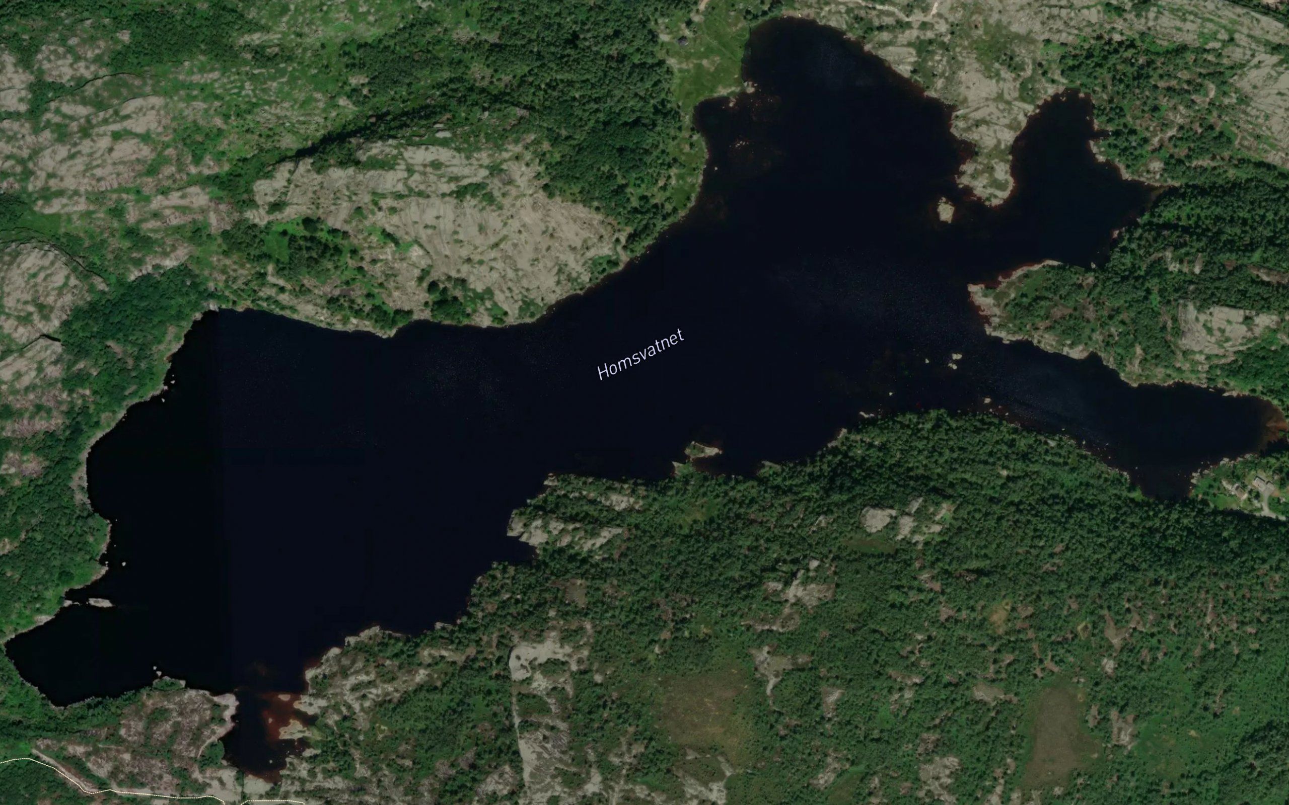 Homsvatnet