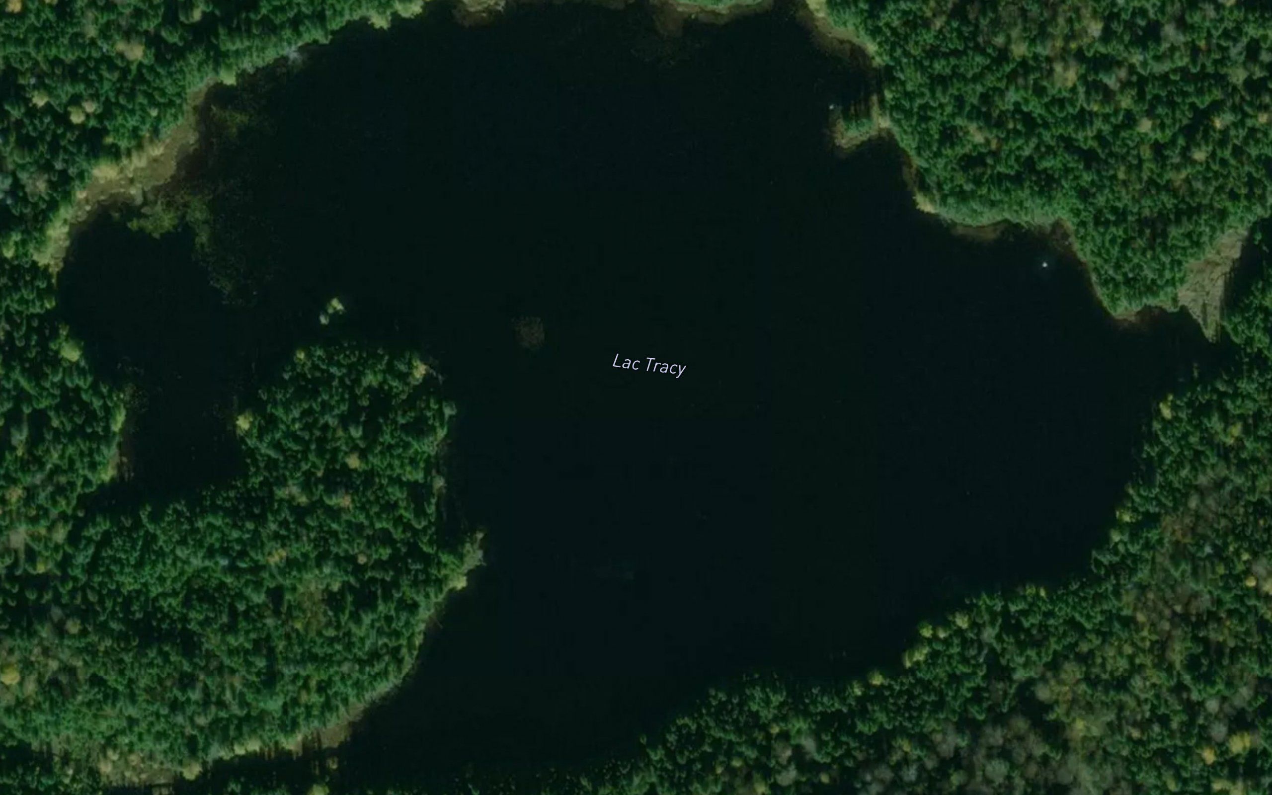 Lac Tracy