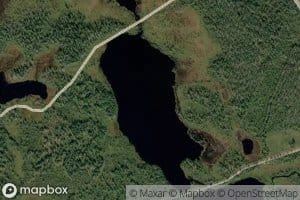 Heinalampi