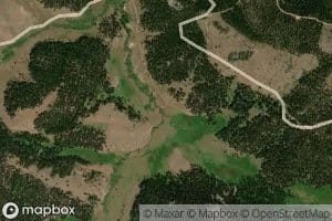 Bruce Creek