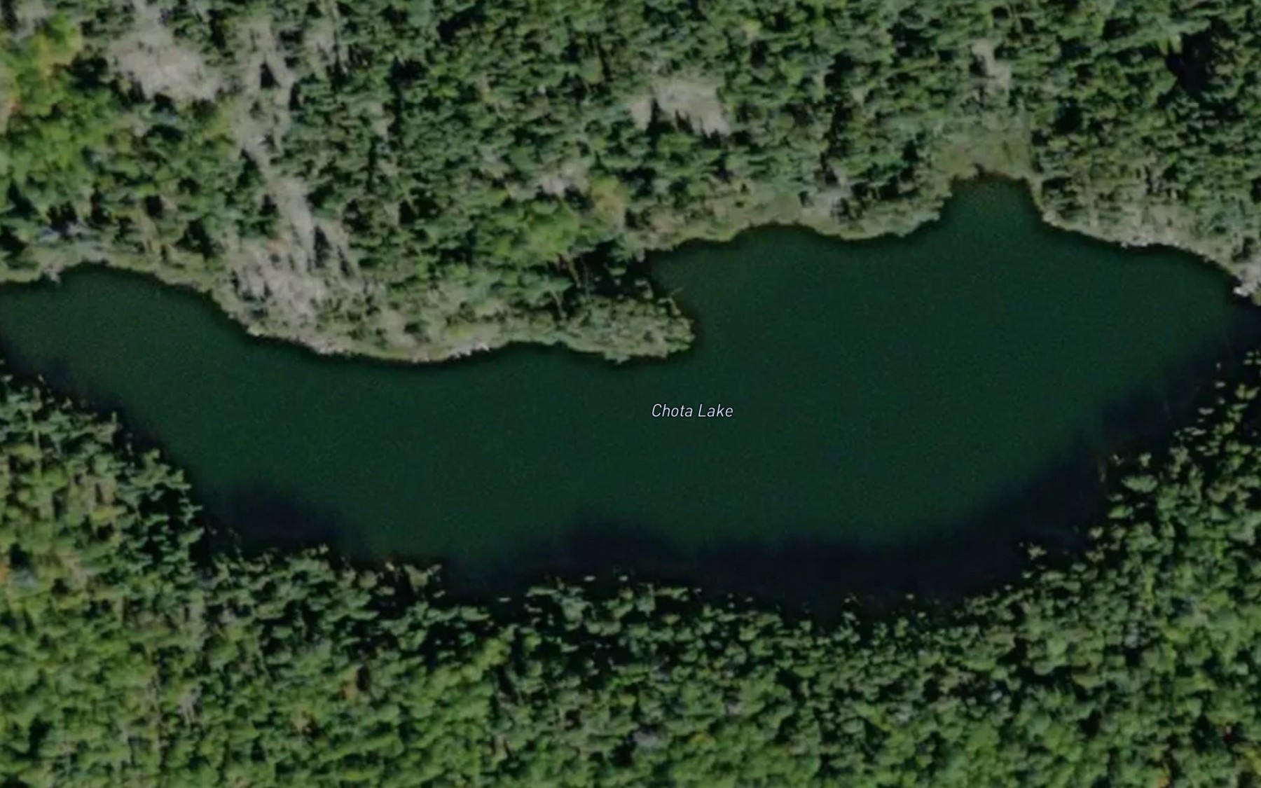 Satellite map of the Chota Lake