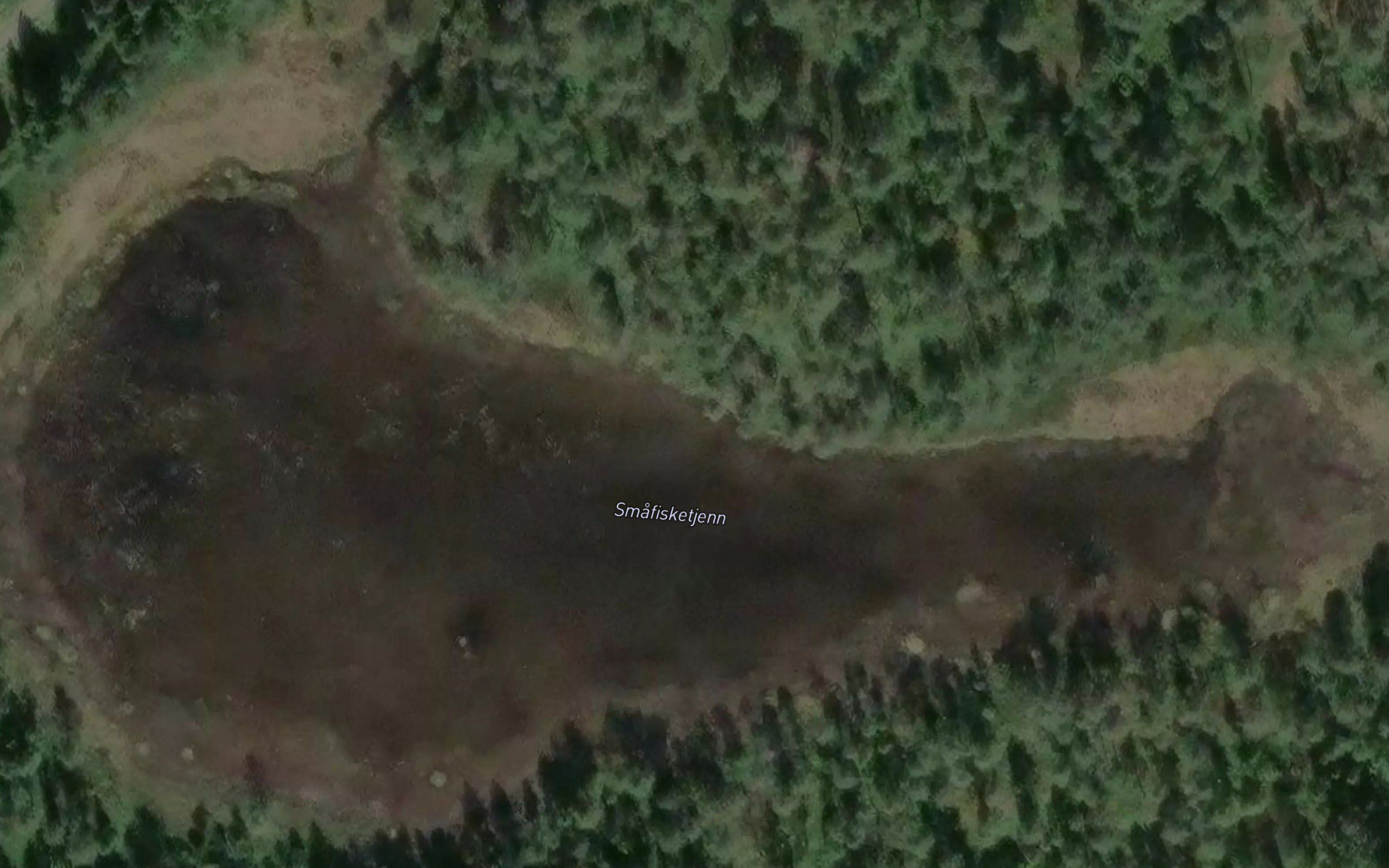 Smafisketjern